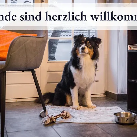 Blumenvilla 3 Mit Sauna, Garten Apartment *